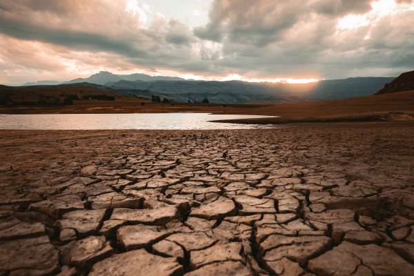 Excess and Lack of Water: Climate Change Issues that Call for Action