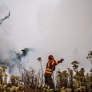 CAF se solidariza com Chile devido aos incêndios florestais