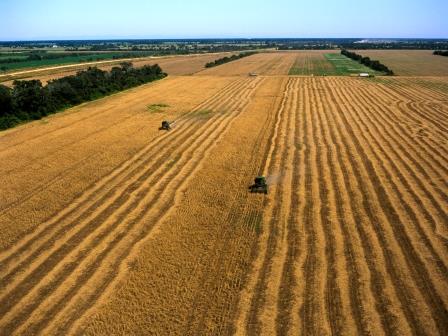 Hacia un sector agroalimentario más sostenible