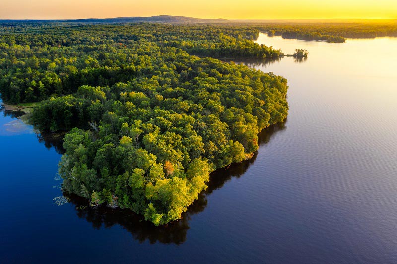 La riqueza natural de la Amazonía como base del desarrollo sostenible  regional