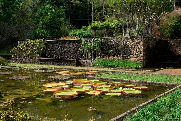 Los paisajes de Roberto Burle Marx iluminan Artespacio Los paisajes de Roberto Burle Marx iluminan Artespacio