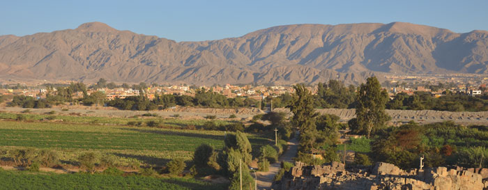 El Valle de Ica (Perú)  apuesta por una agroindustria conectada y digital