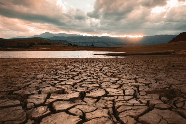 Exceso y carencia de agua: caras del cambio climático que demandan previsión y capacidad de respuesta