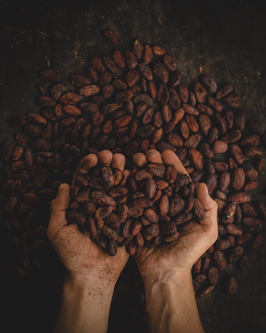 An Opportunity for Cocoa Producers in Latin America and the Caribbean