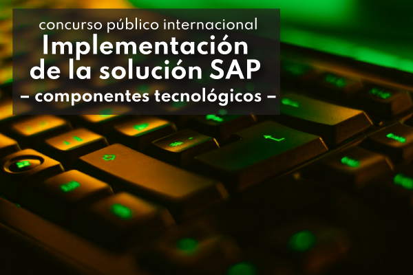 Servicios profesionales para la implementación de la  Solución SAP – Componentes tecnológicos