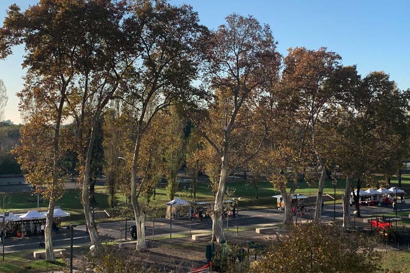 Una feria en el parque 