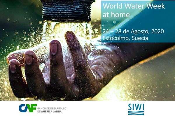 Semana Mundial del Agua en casa 2020