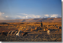 CAF promotes rural microenterprise development CAF promotes rural microenterprise development