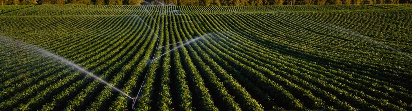 Need Water Management Advice?