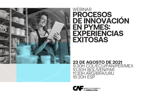 Innovation processes in SMEs: Successful experiences.