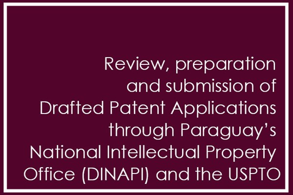 Review, preparation and submission of Drafted Patent Applications through Paraguay’s National Intellectual Property Office (DINAPI) and the USPTO