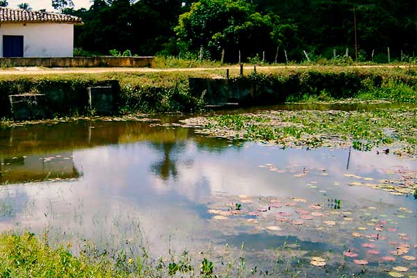 Rehabilitación de un parque en Alagoinhas mejorará sostenibilidad y gestión hídrica