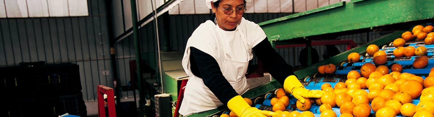 América Latina: em busca de pequenas e médias empresas mais competitivas