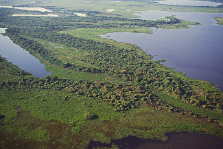 Ecuador: CAF y Banco Procredit impulsan línea de crédito “verde”