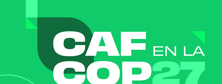 CAF at COP 27: program and participation