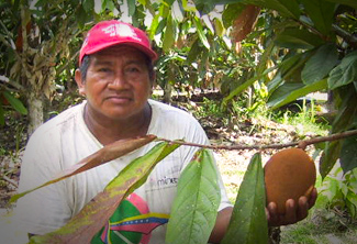 Fifty-nine producers of Copoazu develop harvesting skills