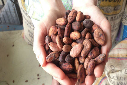 Más valor y más sabor con las rutas del cacao en Ecuador