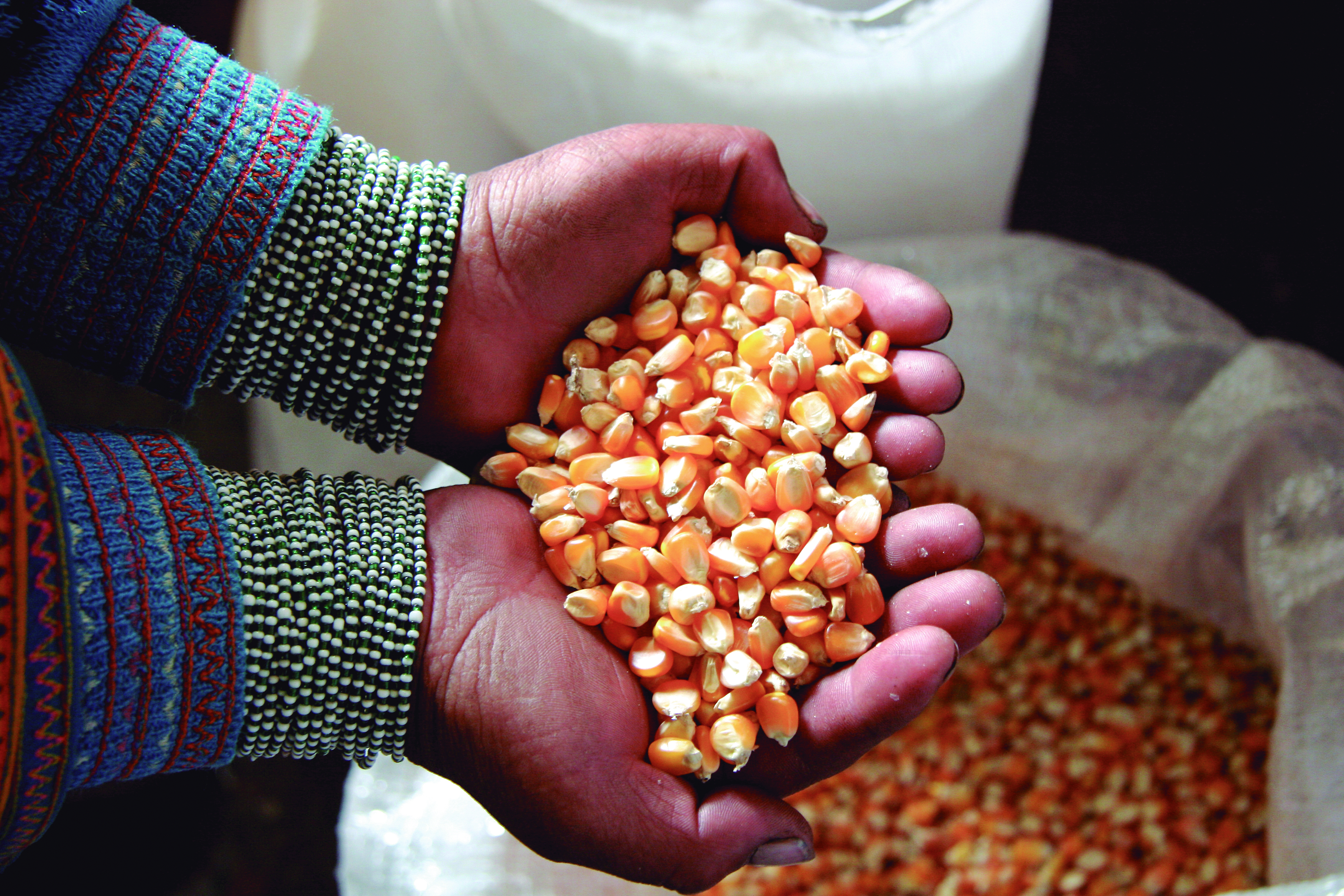 CAF impulsa el desarrollo del campo colombiano.