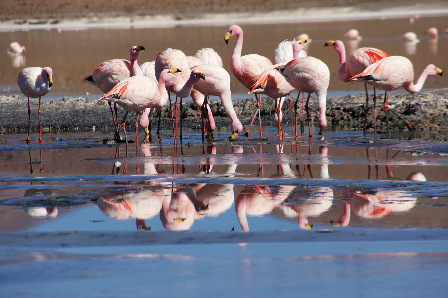Biodiversidad y servicios ecosistémicos