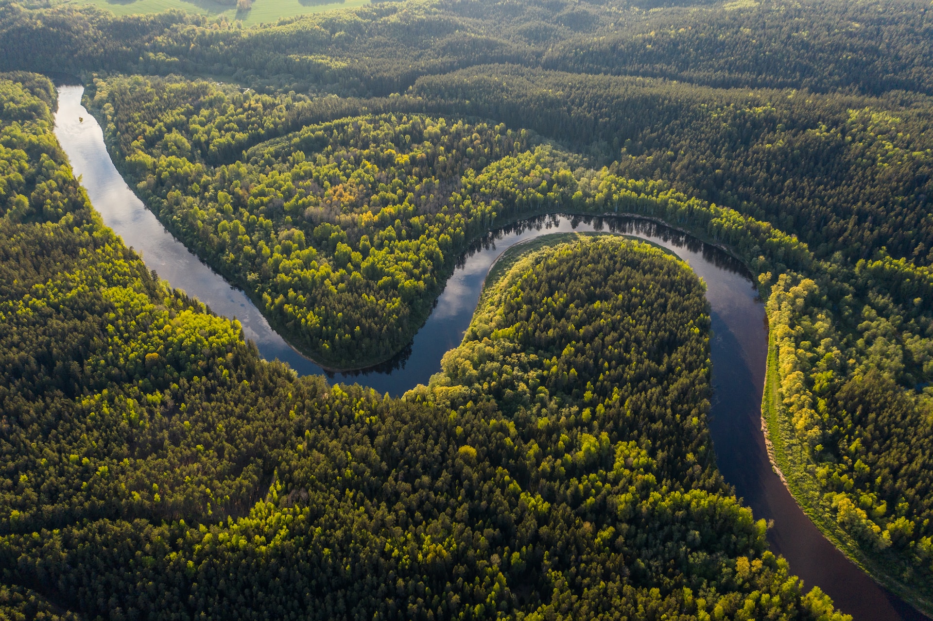 CAF investirá US$ 2 bilhões para proteger a Amazônia