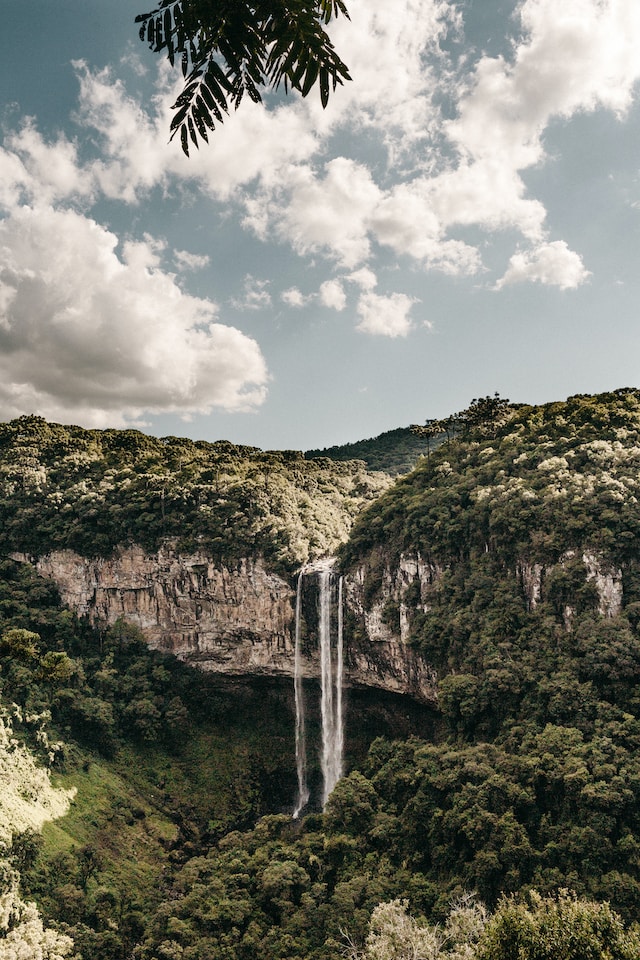 O CAF concentrará suas operações nos ecossistemas naturais