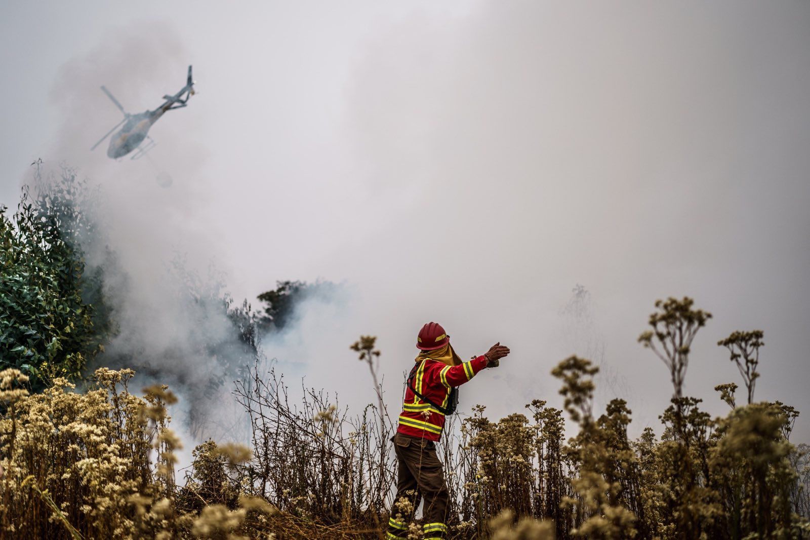 CAF se solidariza com o Chile devido aos incêndios florestais