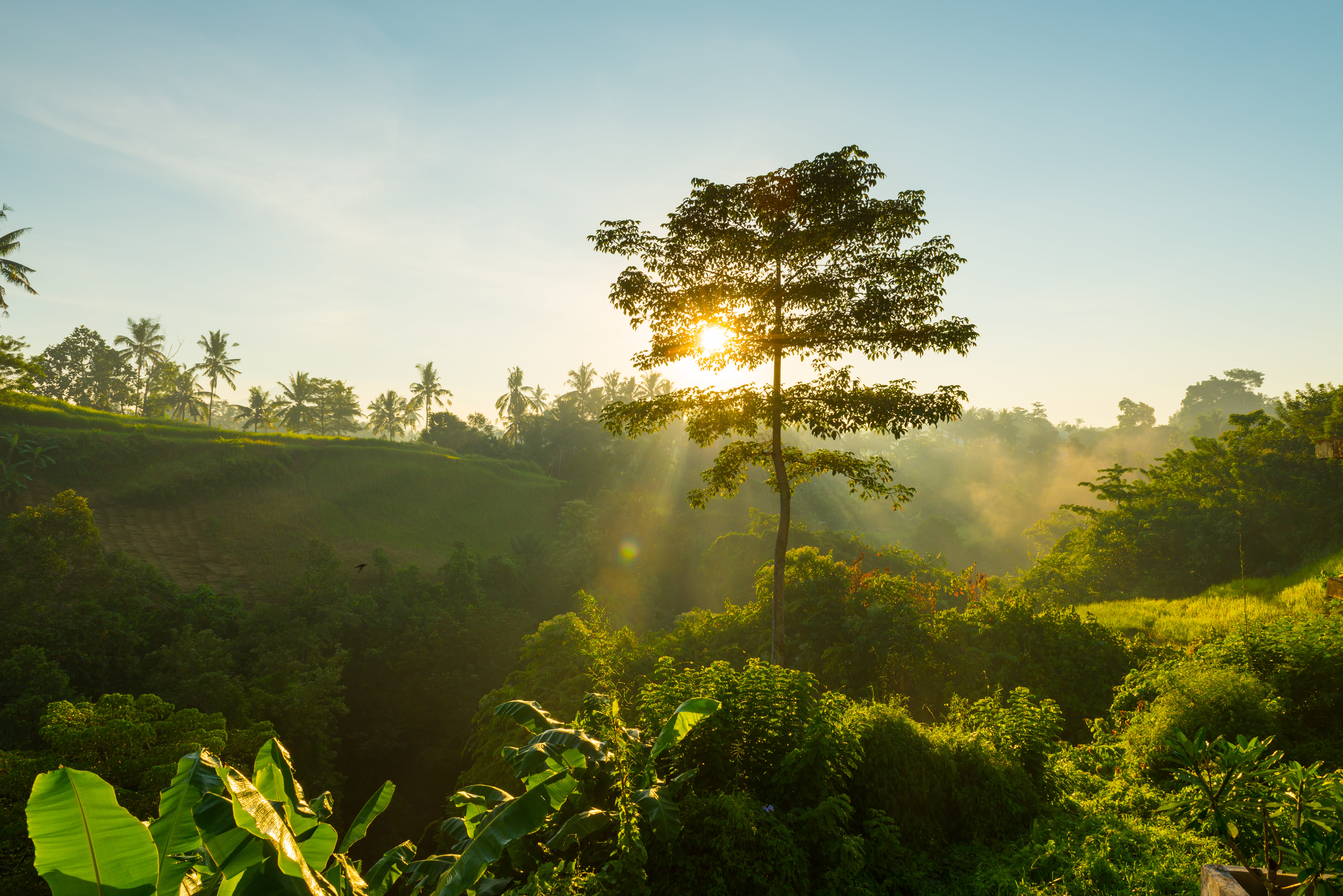 Áreas naturales (bien) protegidas en América Latina y el Caribe