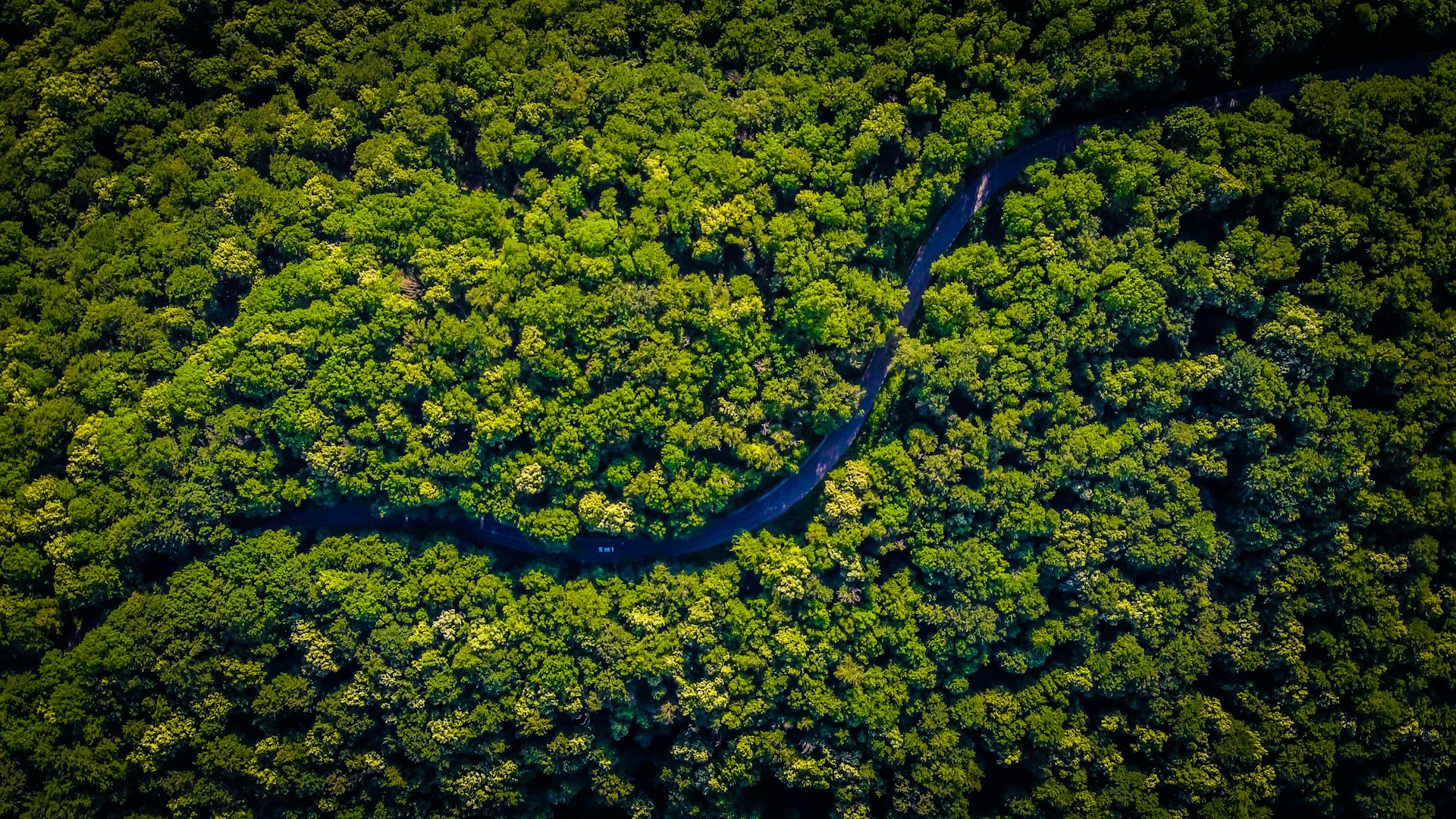Saiba mais sobre o pilar Aamazônia da nossa estratégia CAF no Brasil.