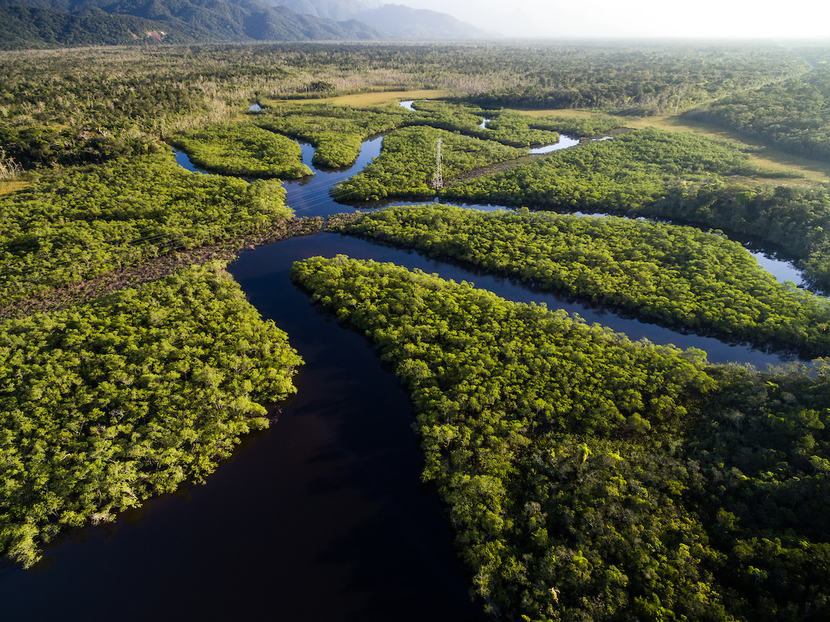 Latin America and the Caribbean leads the blue revolution