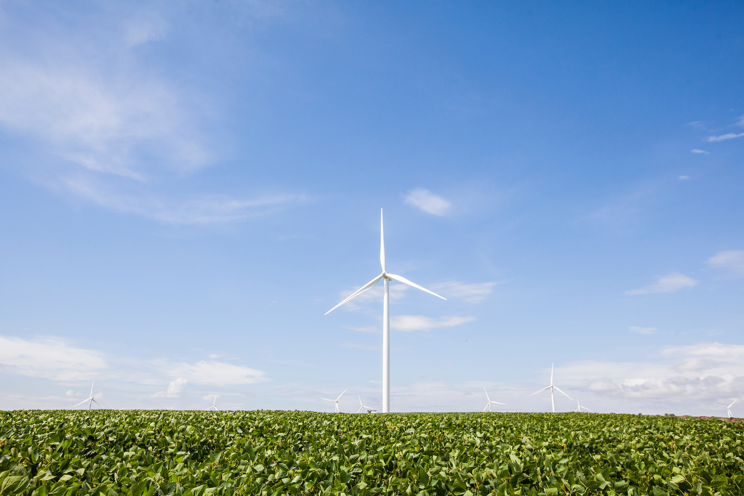 Are green jobs different? Are green jobs different?