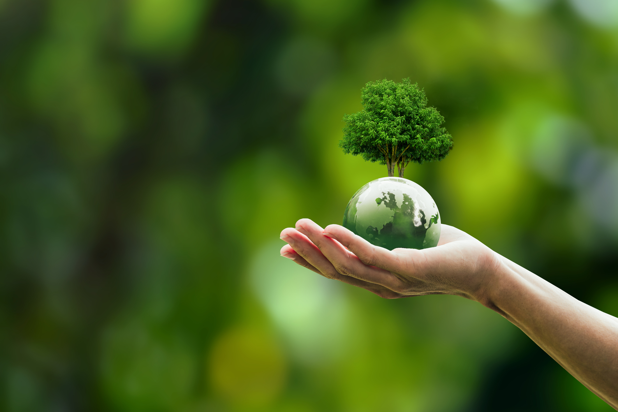 Hacia un mercado latinoamericano de carbono Hacia un mercado latinoamericano de carbono