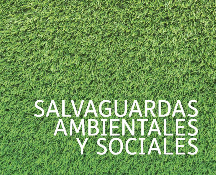 Environmental and social safeguards