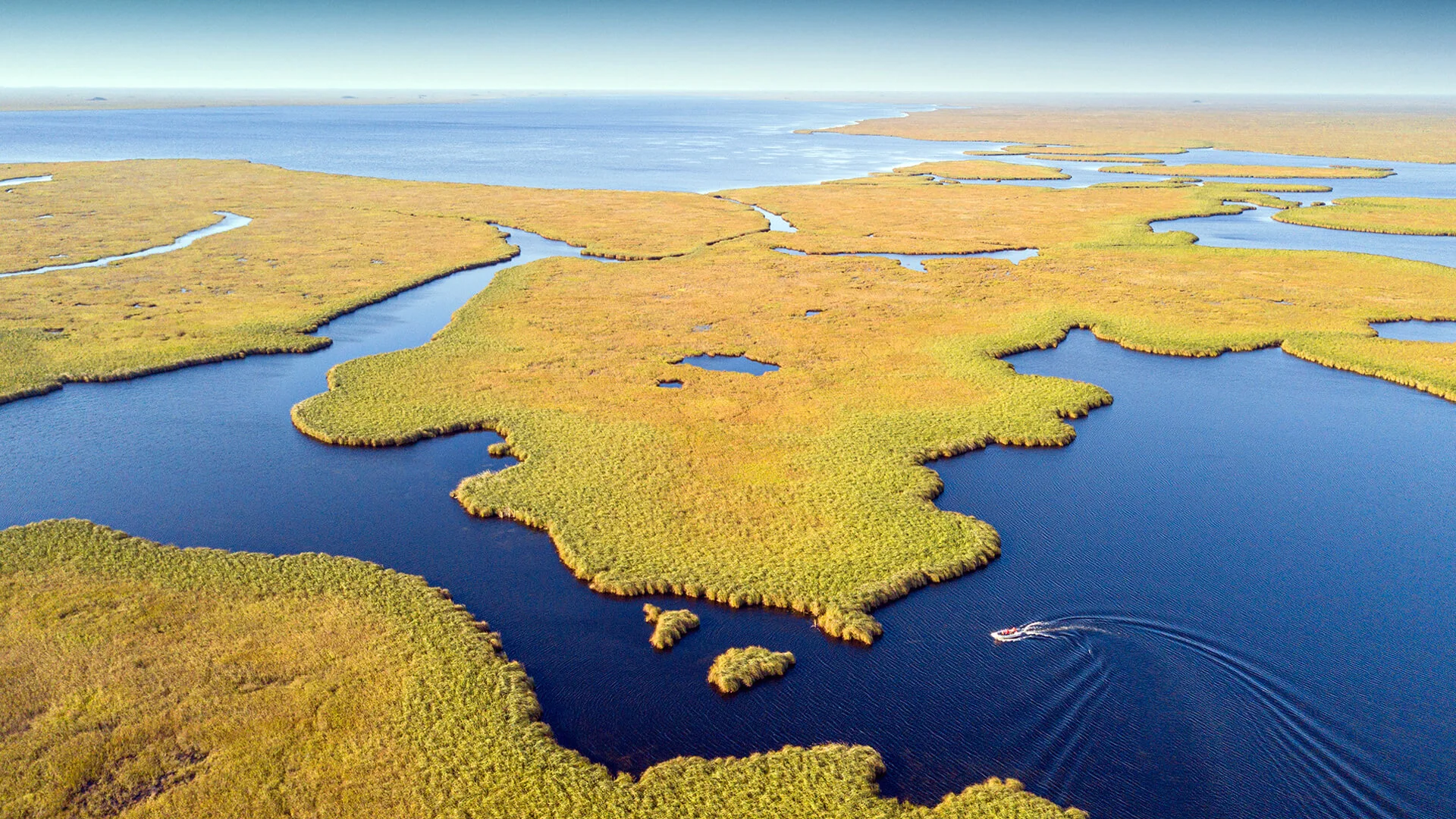 Imagen destacada del post de blog