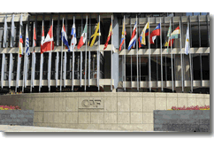 CAF Joins the United Nations CAF Joins the United Nations