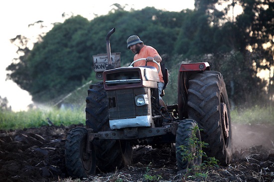 El sector agropecuario de América Latina necesita más y mejores datos