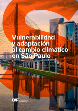 Vulnerabilidad y adaptación al cambio climático en São Paulo