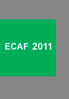 1607 - Encuesta CAF 2011: impuestos 1607 - Encuesta CAF 2011: impuestos