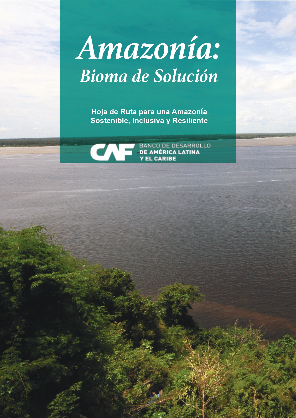 Amazonía: Bioma de Solución - hoja de Ruta para una Amazonía  Sostenible, Inclusiva y Resiliente