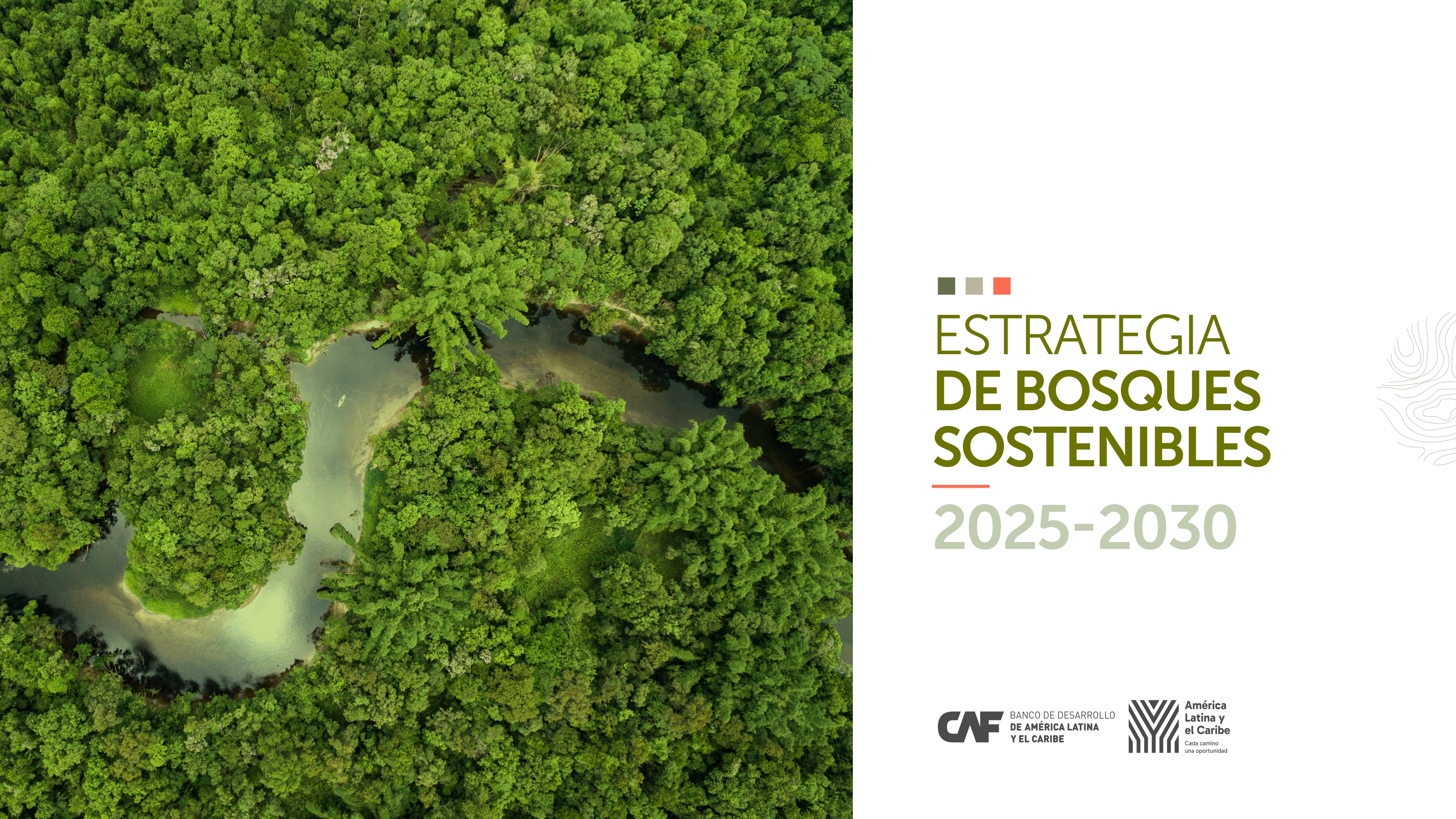 Estrategia de Bosques Sostenibles 2025-2030