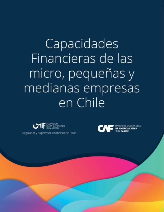 Capacidades Financieras de las micro, pequeñas y medianas empresas en Chile