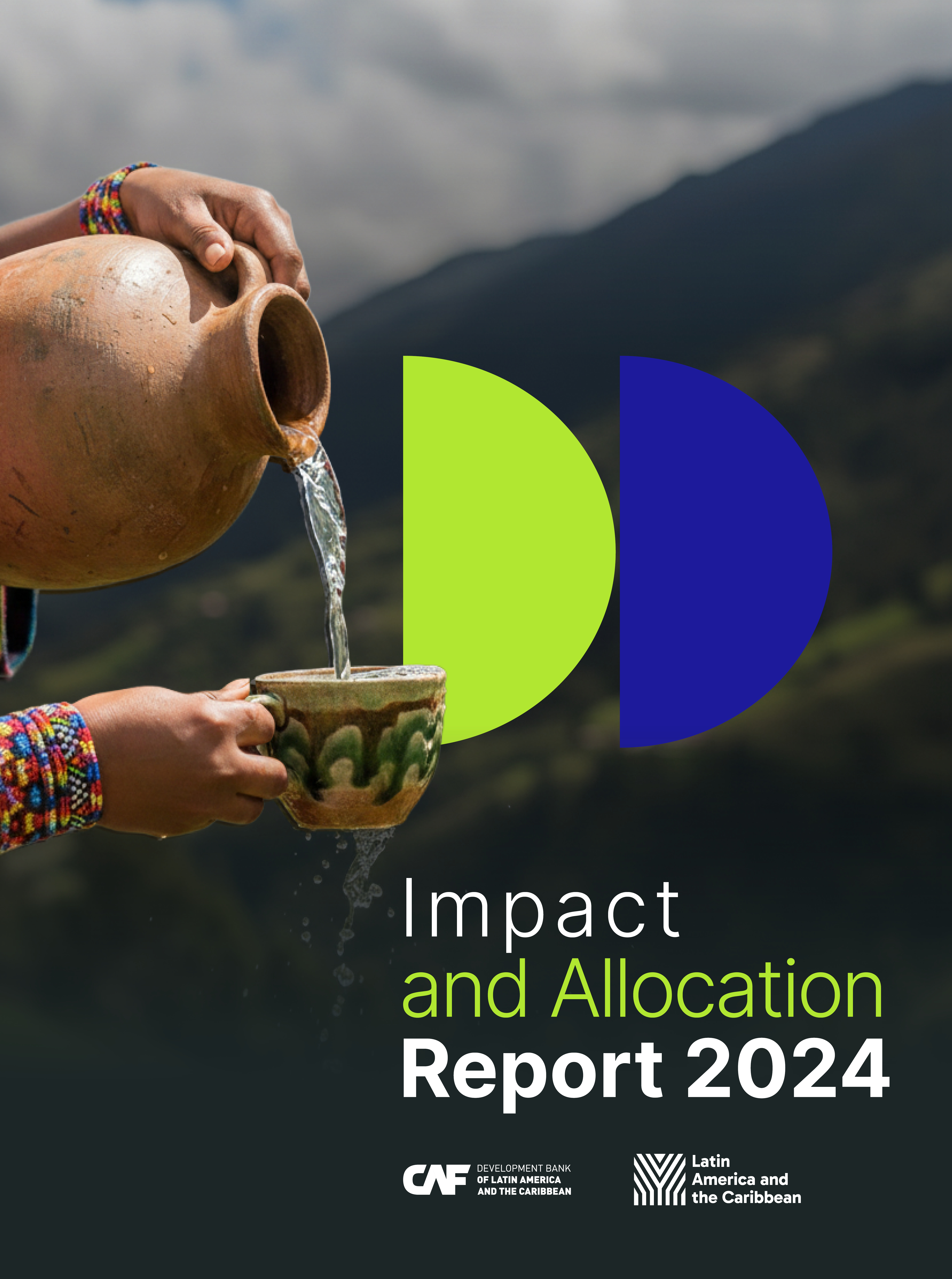 Impact and Allocation Report 2024